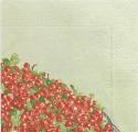 fruits_rouges0014-1d.jpg (2703 octets)