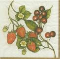 fruits_rouges0015-1.jpg (4134 octets)