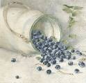 fruits_rouges0016-1b.jpg (3456 octets)