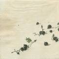 fruits_rouges0021-1a.jpg (2071 octets)
