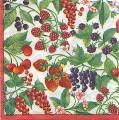 fruits_rouges0023-1a.jpg (6074 octets)