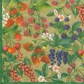 fruits_rouges0023-2a.jpg (4690 octets)