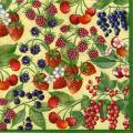 fruits_rouges0023-3a.jpg (6158 octets)