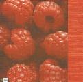 fruits_rouges0024-1.jpg (2909 octets)