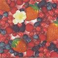fruits_rouges0025-1.jpg (4265 octets)