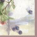 fruits_rouges0027-1b.jpg (2728 octets)