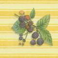 fruits_rouges0029-1.jpg (2995 octets)
