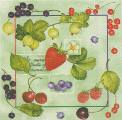 fruits_rouges0030-1.jpg (4324 octets)