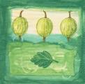 fruits_rouges0032-1.jpg (3215 octets)