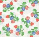fruits_rouges0035-1.jpg (5075 octets)