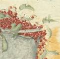 fruits_rouges0037-1d.jpg (3547 octets)