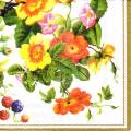 fruits_rouges0038-2b.jpg (4841 octets)