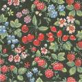 fruits_rouges0042-1.jpg (5753 octets)