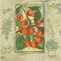 fruits_rouges0043-1a.jpg (3906 octets)