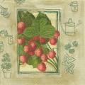 fruits_rouges0043-1b.jpg (3371 octets)