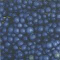 fruits_rouges0044-1.jpg (2886 octets)