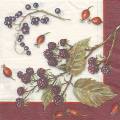 fruits_rouges0048-1.jpg (3959 octets)