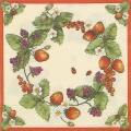 fruits_rouges0049-1.jpg (4556 octets)