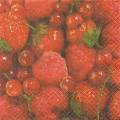 fruits_rouges0054-1.jpg (3162 octets)