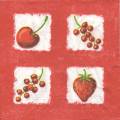 fruits_rouges0056-3.jpg (3373 octets)