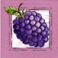 fruits_rouges0058-1.jpg (3872 octets)