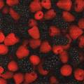 fruits_rouges0059-1.jpg (3251 octets)