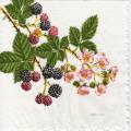 fruits_rouges0060-1.jpg (3896 octets)