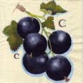 fruits_rouges0061-1.jpg (3439 octets)