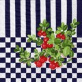 fruits_rouges0064-1.jpg (8933 octets)