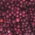 fruits_rouges0066-1.jpg (5131 octets)