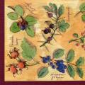 fruits_rouges0067-1a.jpg (4442 octets)
