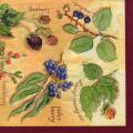fruits_rouges0067-1b.jpg (4290 octets)