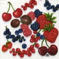 fruits_rouges0068-1.jpg (5111 octets)