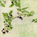 fruits_rouges0074-1a.jpg (3408 octets)