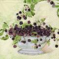 fruits_rouges0074-1b.jpg (4116 octets)