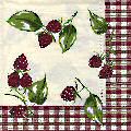 fruits_rouges0077-1.jpg (7114 octets)