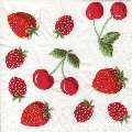 fruits_rouges0078-1.jpg (4436 octets)