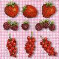 fruits_rouges0079-1.jpg (4733 octets)