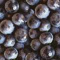 fruits_rouges0080-1.jpg (4761 octets)