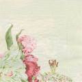 divers0107-1d.jpg (2254 octets)