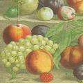 divers0119-1a.jpg (3541 octets)