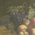 nature0005a.jpg (2526 octets)