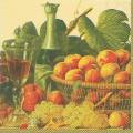 nature0011-1b.JPG (3935 octets)