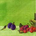 nature0021-2a.jpg (2870 octets)