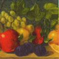 nature0023-1b.jpg (3215 octets)