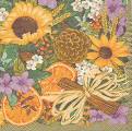 oranges0015-1.jpg (5018 octets)