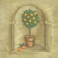 oranges0022-2.jpg (2680 octets)