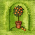oranges0022-3.jpg (6318 octets)