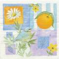 oranges0024-1.jpg (3278 octets)
