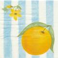 oranges0025-1.jpg (2641 octets)